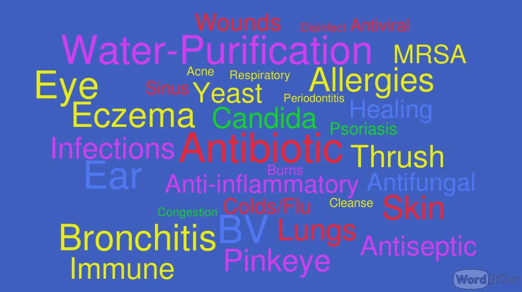 Home 5 WordItOut word cloud 4509203